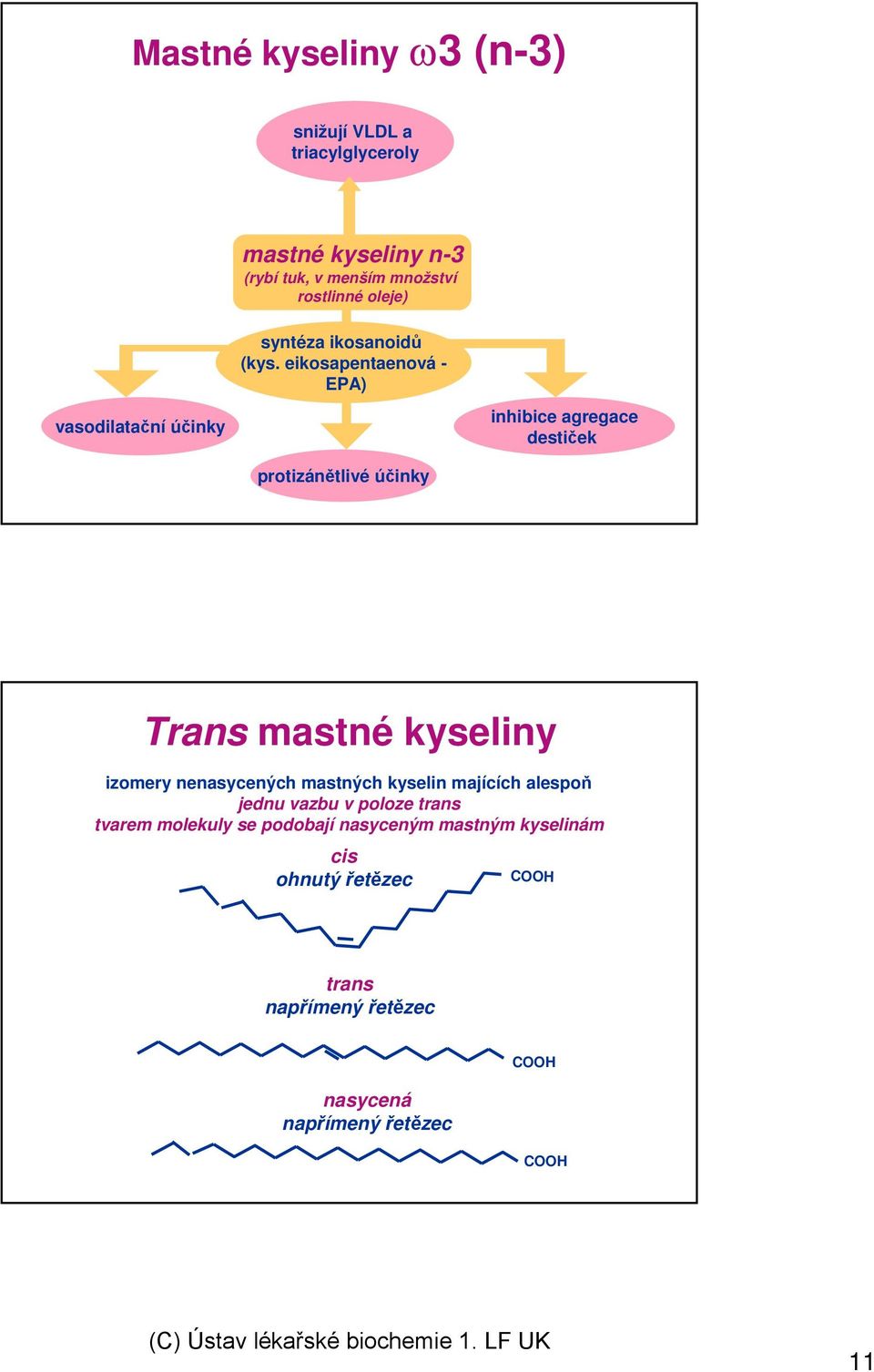 eikosapentaenová - EPA) vasodilatační účinky inhibice agregace destiček protizánětlivé účinky Trans mastné kyseliny