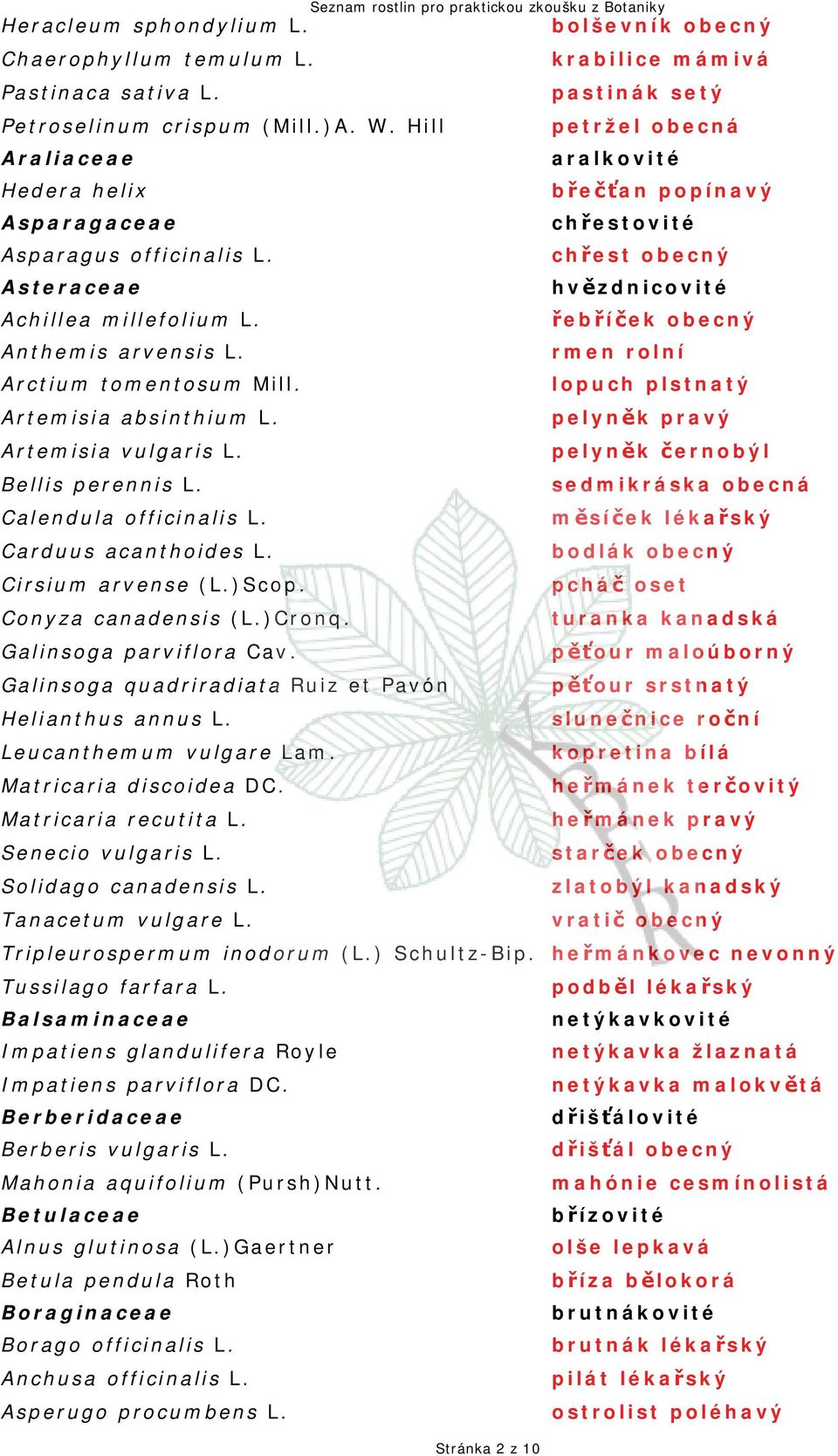 řebříček obecný Anthemis arvensis L. rmen rolní Arctium tomentosum Mill. lopuch plstnatý Artemisia absinthium L. pelyněk pravý Artemisia vulgaris L. pelyněk černobýl Bellis perennis L.