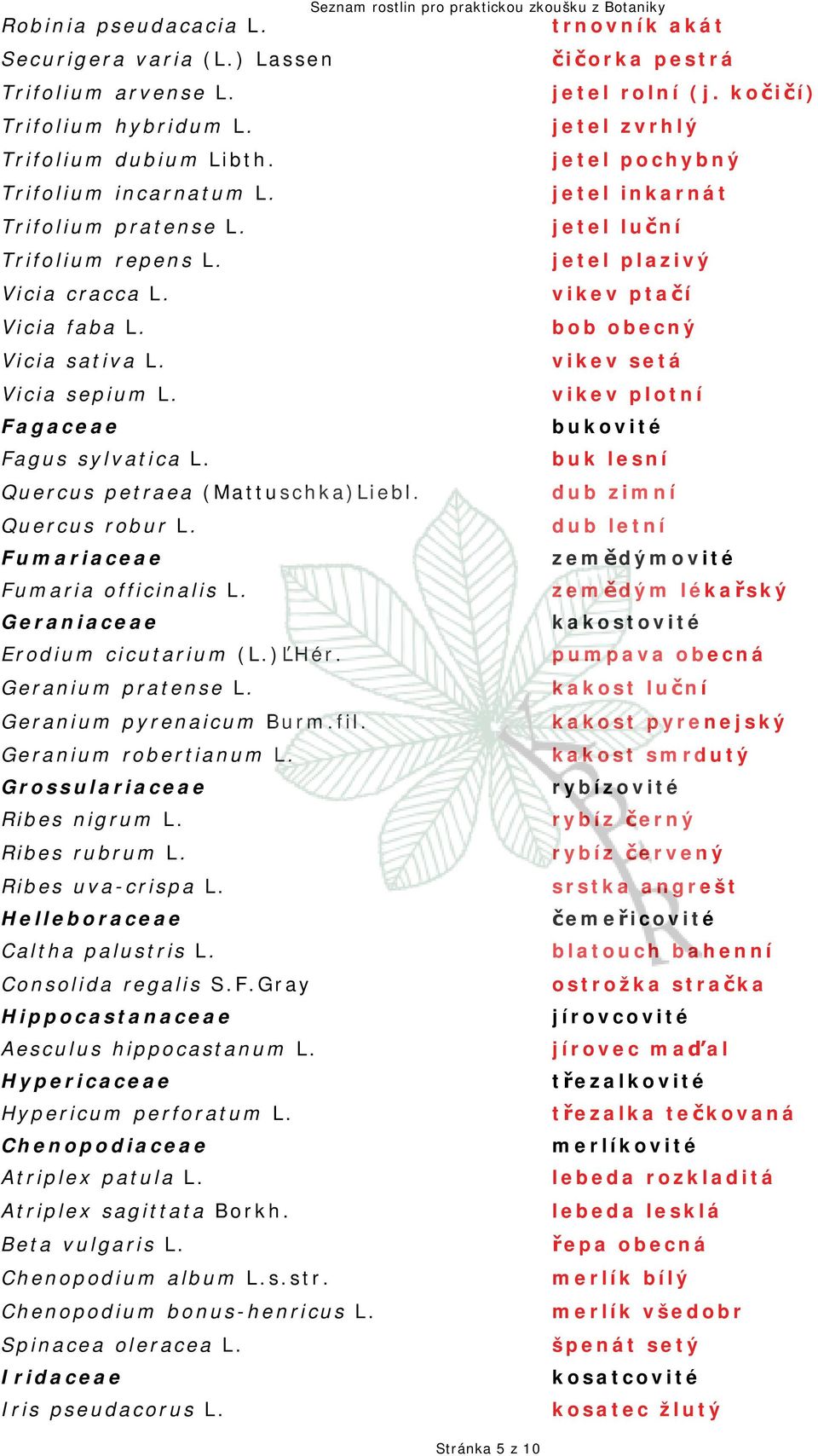 vikev setá Vicia sepium L. vikev plotní Fagaceae bukovité Fagus sylvatica L. buk lesní Quercus petraea (Mattuschka)Liebl. dub zimní Quercus robur L.