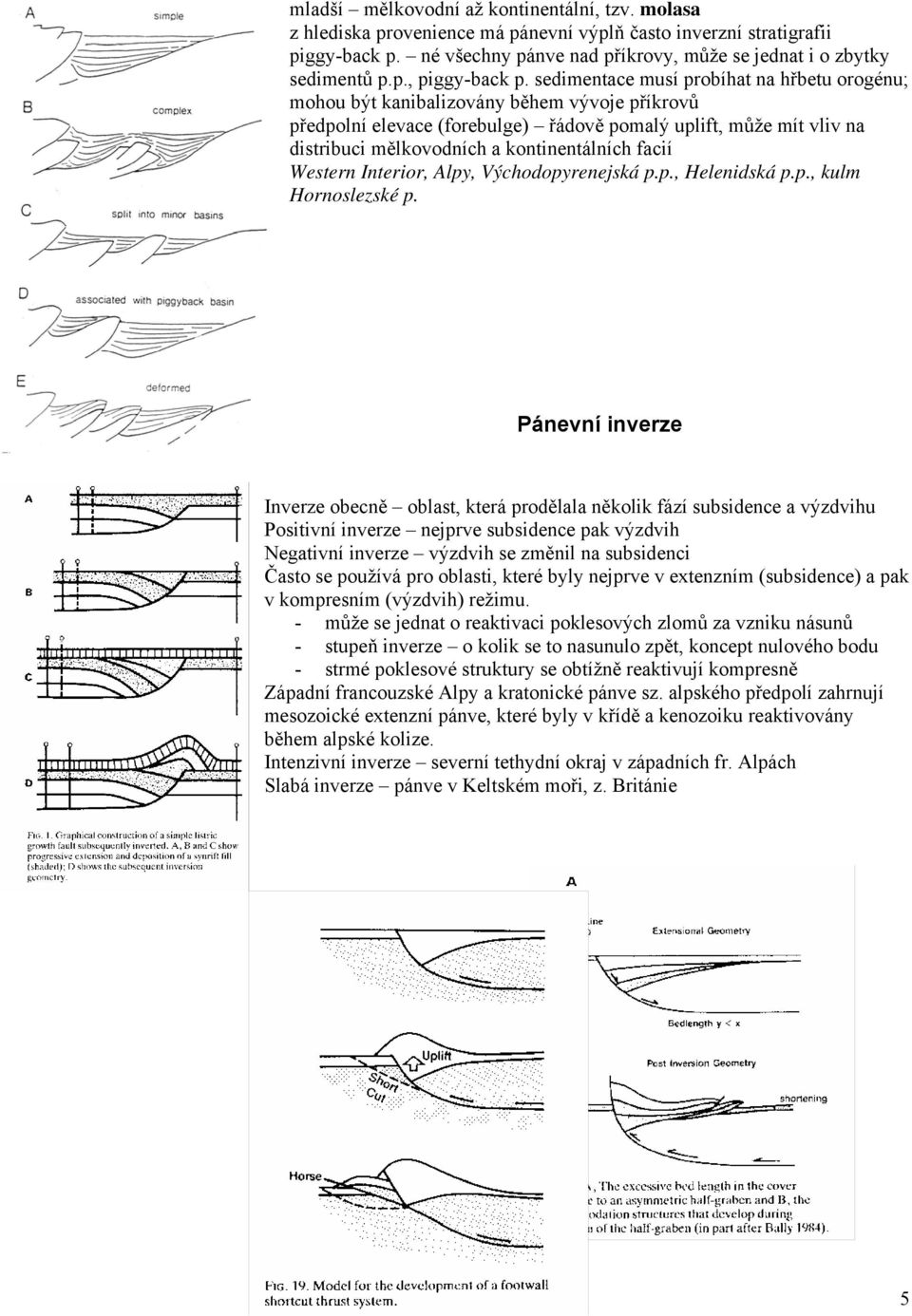 sedimentace musí probíhat na hřbetu orogénu; mohou být kanibalizovány během vývoje příkrovů předpolní elevace (forebulge) řádově pomalý uplift, může mít vliv na distribuci mělkovodních a