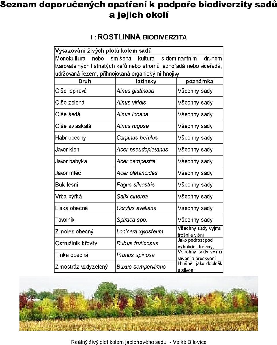 Alnus viridis Všechny sady Olše šedá Alnus incana Všechny sady Olše svraskalá Alnus rugosa Všechny sady Habr obecný Carpinus betulus Všechny sady Javor klen Acer pseudoplatanus Všechny sady Javor