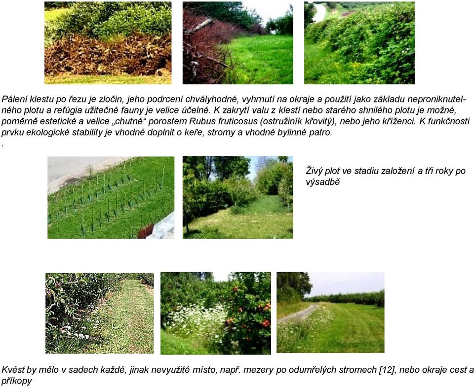 K zakrytí valu z klestí nebo starého shnilého plotu je možné, poměrně estetické a velice chutné porostem Rubus fruticosus (ostružiník křovitý), nebo