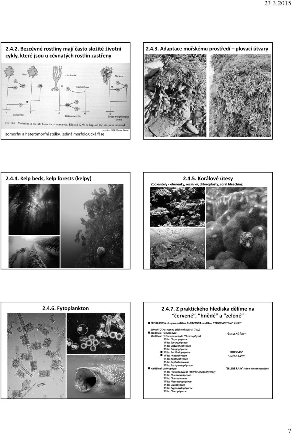 Korálové útesy Zooxantely obrněnky, rozsivky; chloroplasty; coral bleaching 2.4.6. Fytoplankton 2.4.7.