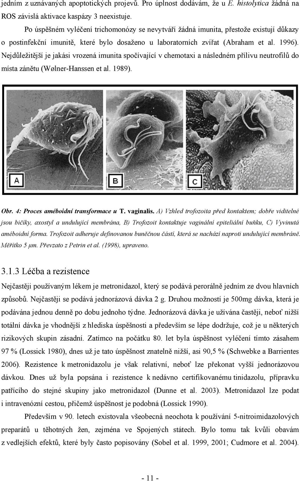 Nejdůležitější je jakási vrozená imunita spočívající v chemotaxi a následném přílivu neutrofilů do místa zánětu (Wølner-Hanssen et al. 1989). Obr. 4: Proces améboidní transformace u T. vaginalis.