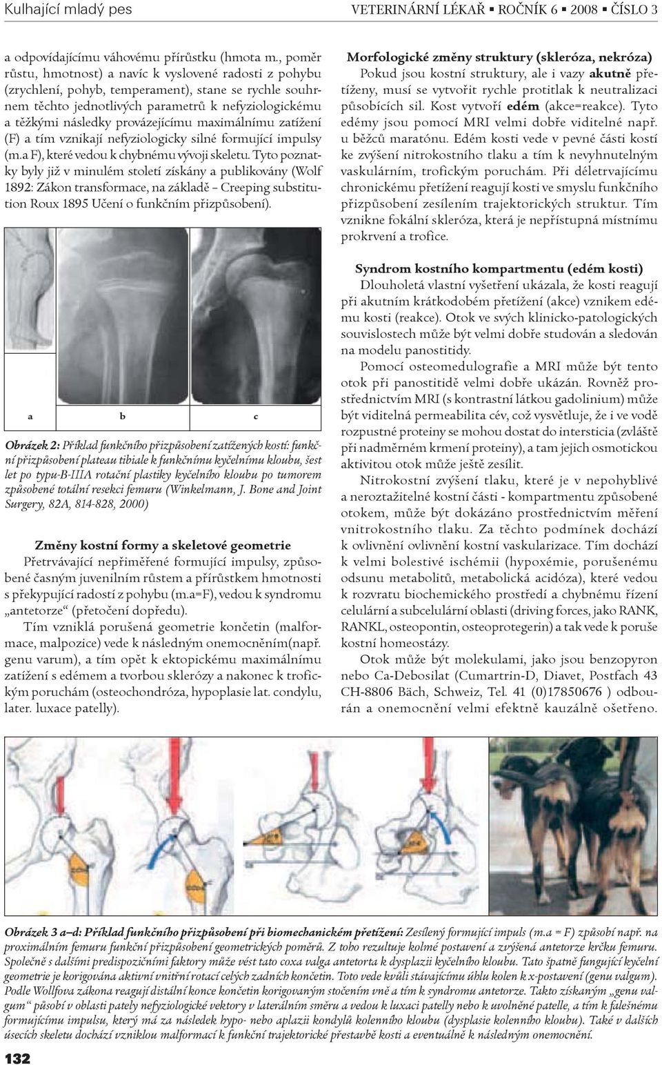 provázejícímu maximálnímu zatížení (F) a tím vznikají nefyziologicky silné formující impulsy (m.a F), které vedou k chybnému vývoji skeletu.