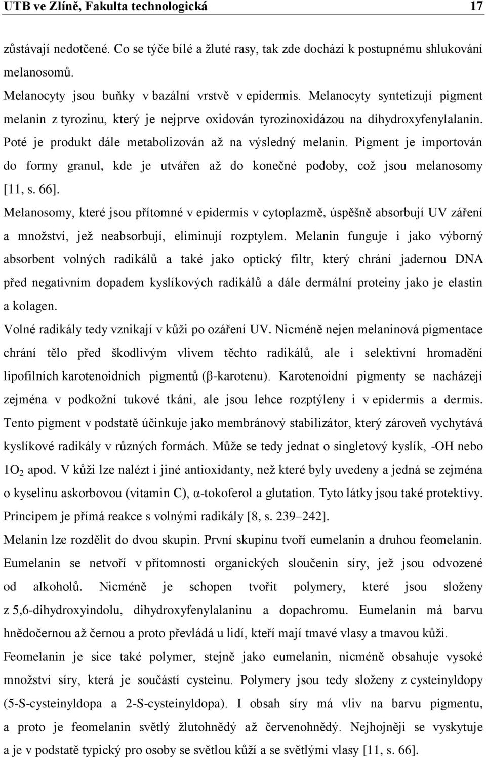 Pigment je importován do formy granul, kde je utvářen až do konečné podoby, což jsou melanosomy [11, s. 66].