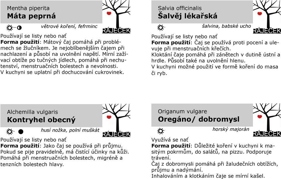 Salvia officinalis Šalvěj lékařská šalvina, babské ucho Forma použití: Čaj se používá proti pocení a ulevuje při menstruačních křečích. Kloktání čaje pomáhá při zánětech v dutině ústní a hrdle.