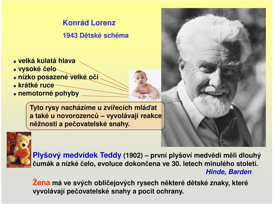 Plyšový medvídek Teddy (1902) první plyšoví medvědi měli dlouhý čumák a nízké čelo, evoluce dokončena ve 30.