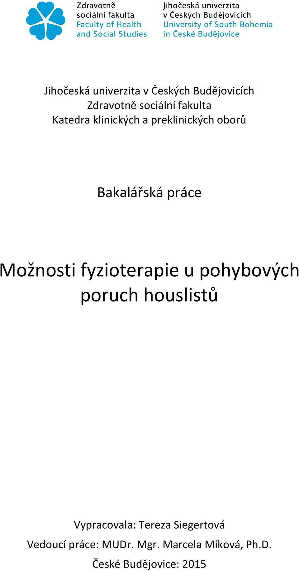 fyzioterapie u pohybových poruch houslistů Vypracovala: Tereza