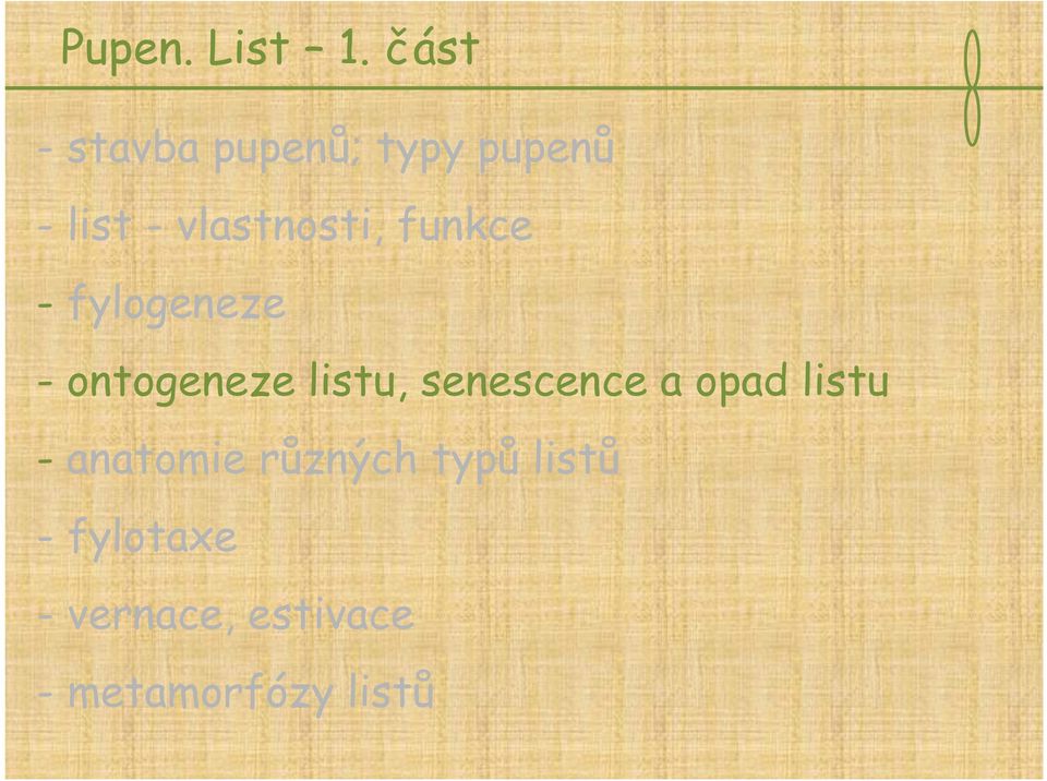 vlastnosti, funkce - fylogeneze - ontogeneze listu,