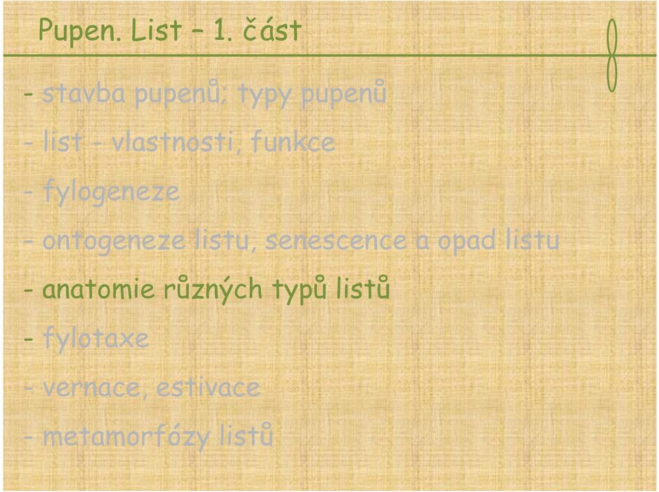 vlastnosti, funkce - fylogeneze - ontogeneze listu,