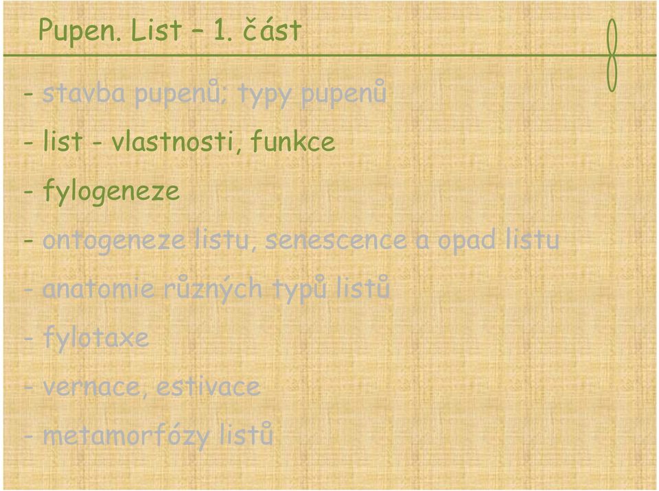 vlastnosti, funkce - fylogeneze - ontogeneze listu,
