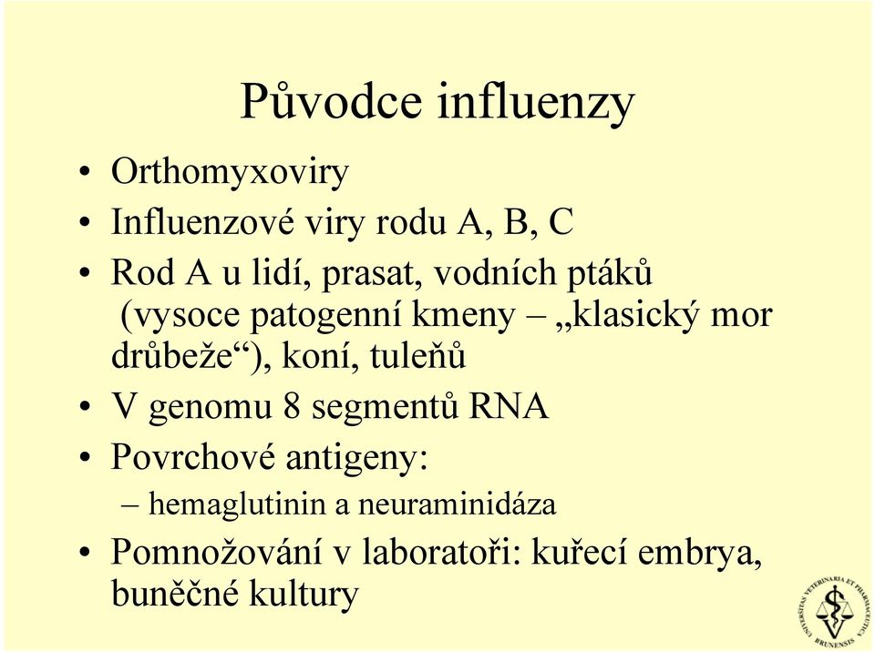 drůbeže ), koní, tuleňů V genomu 8 segmentů RNA Povrchové antigeny: