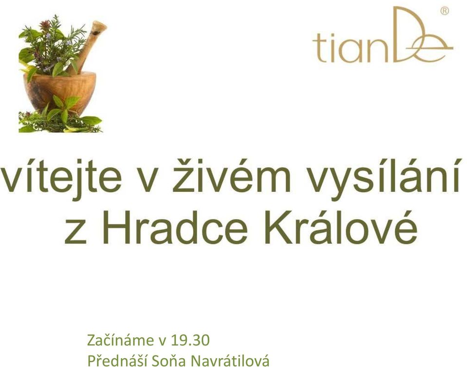Přednáší