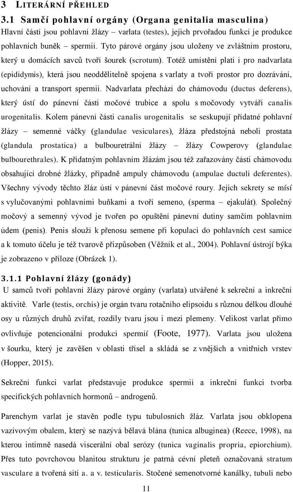 Totéţ umístění platí i pro nadvarlata (epididymis), která jsou neoddělitelně spojena s varlaty a tvoří prostor pro dozrávání, uchování a transport spermií.