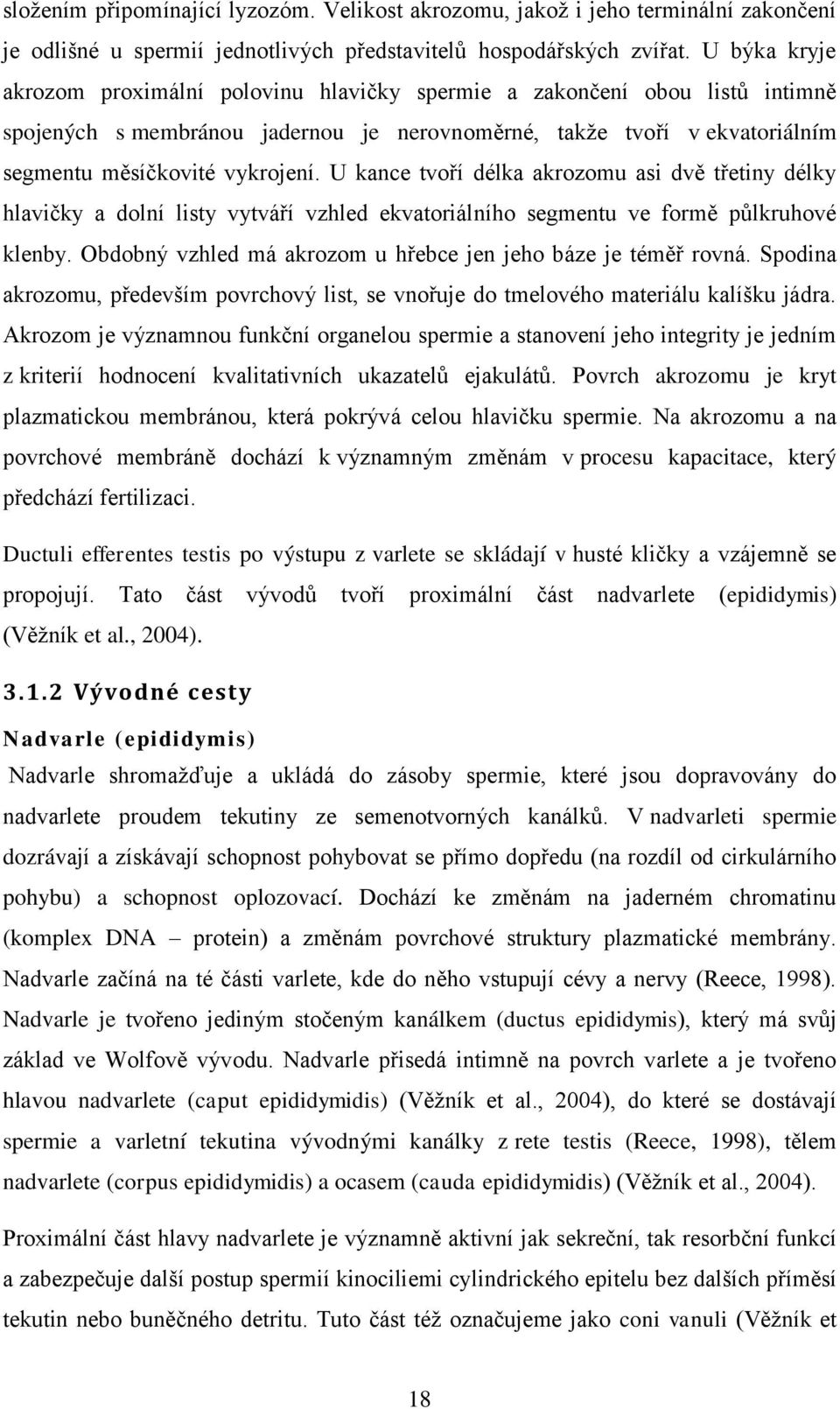 U kance tvoří délka akrozomu asi dvě třetiny délky hlavičky a dolní listy vytváří vzhled ekvatoriálního segmentu ve formě půlkruhové klenby.