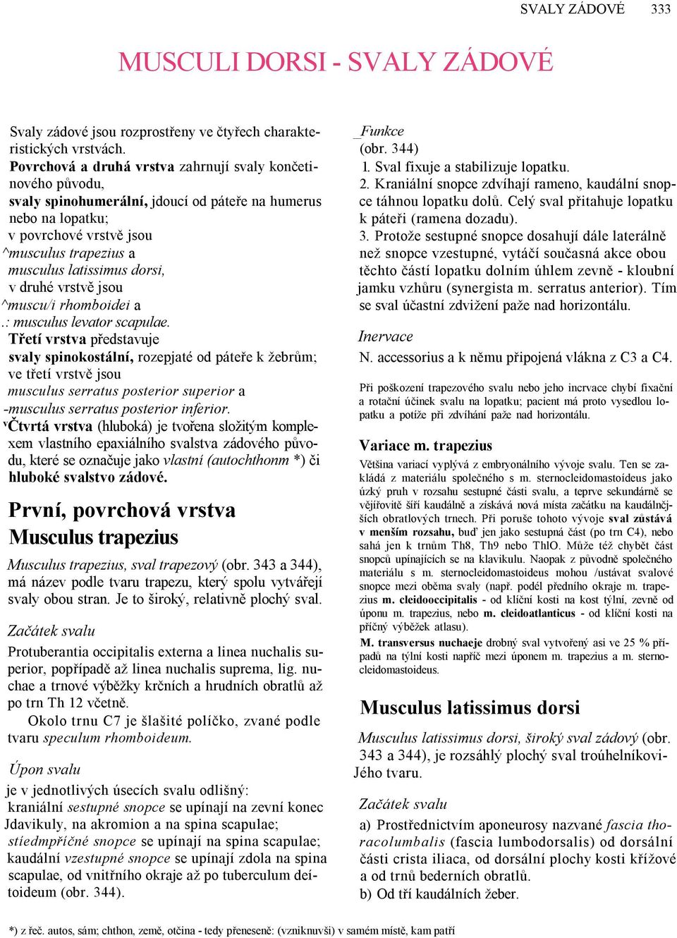 dorsi, v druhé vrstvě jsou ^muscu/i rhomboidei a.: musculus levator scapulae.