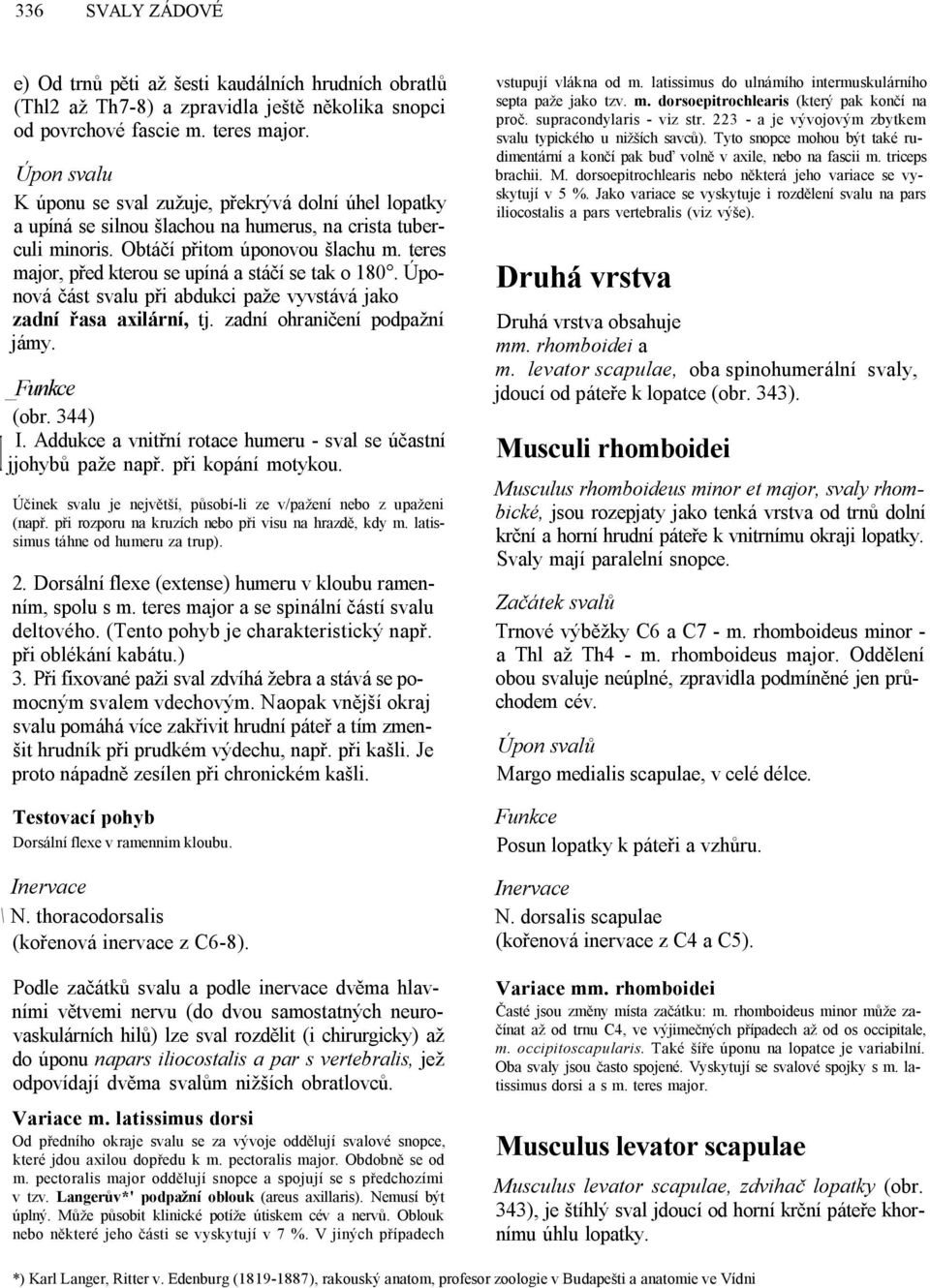 teres major, před kterou se upíná a stáčí se tak o 180. Úponová část svalu při abdukci paže vyvstává jako zadní řasa axilární, tj. zadní ohraničení podpažní jámy. _ (obr. 344) I.