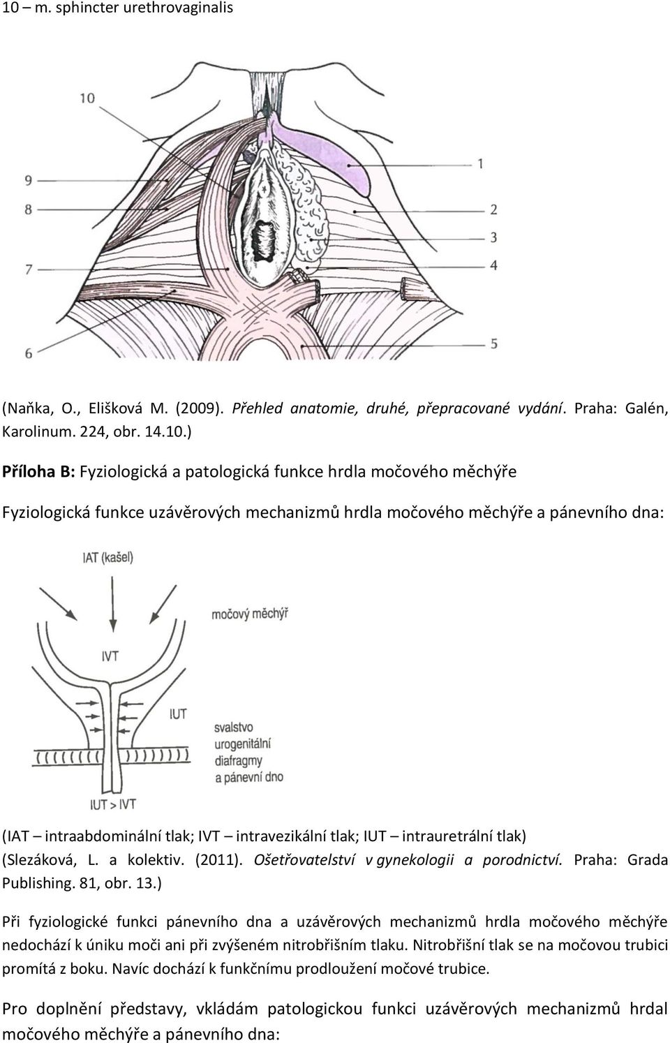 a kolektiv. (2011). Ošetřovatelství v gynekologii a porodnictví. Praha: Grada Publishing. 81, obr. 13.