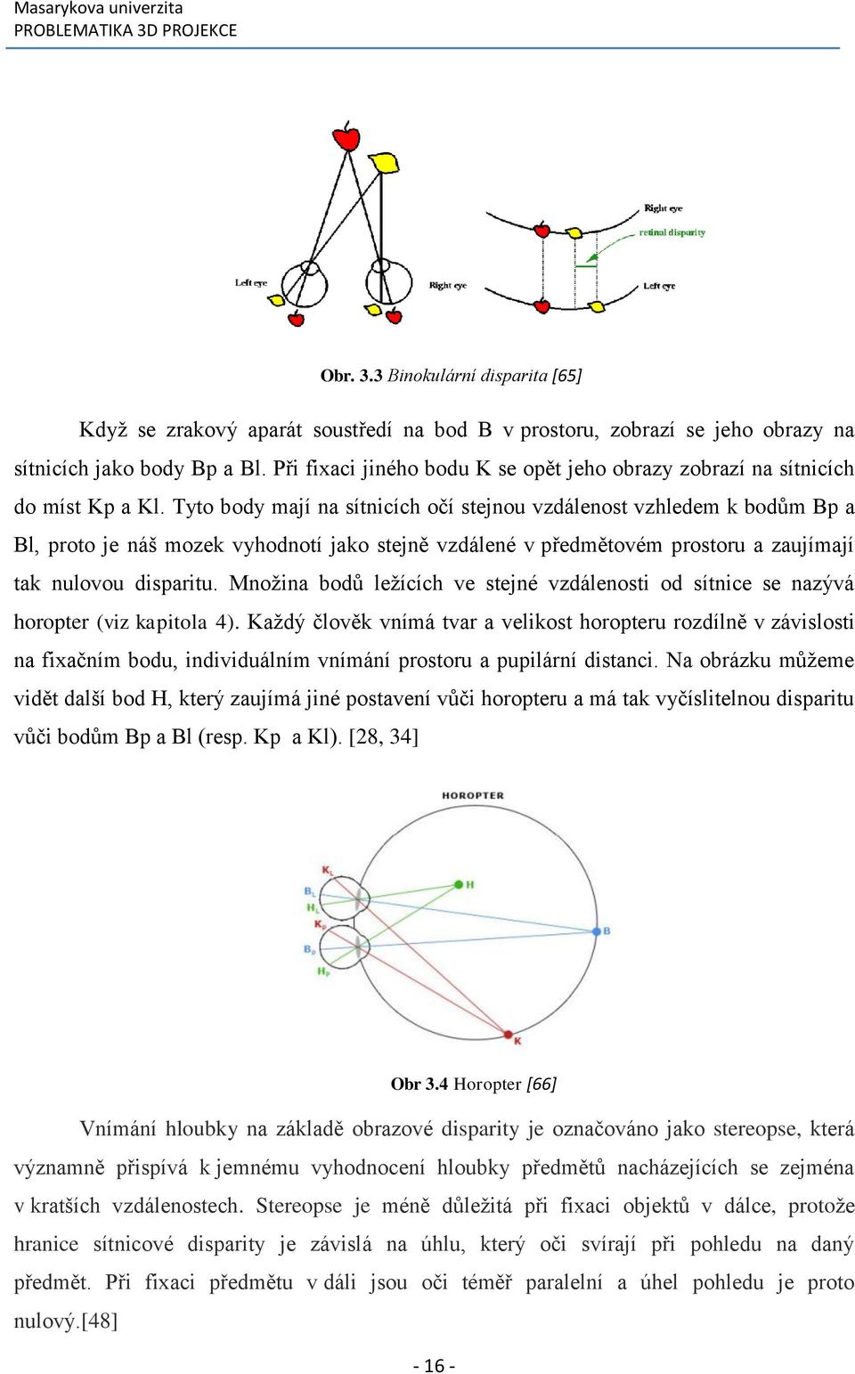 Tyto body mají na sítnicích očí stejnou vzdálenost vzhledem k bodům Bp a Bl, proto je náš mozek vyhodnotí jako stejně vzdálené v předmětovém prostoru a zaujímají tak nulovou disparitu.