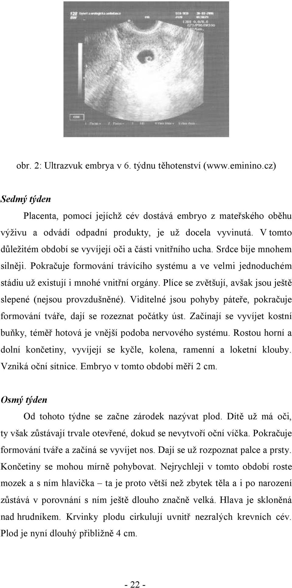 Plíce se zvětšují, avšak jsou ještě slepené (nejsou provzdušněné). Viditelné jsou pohyby páteře, pokračuje formování tváře, dají se rozeznat počátky úst.