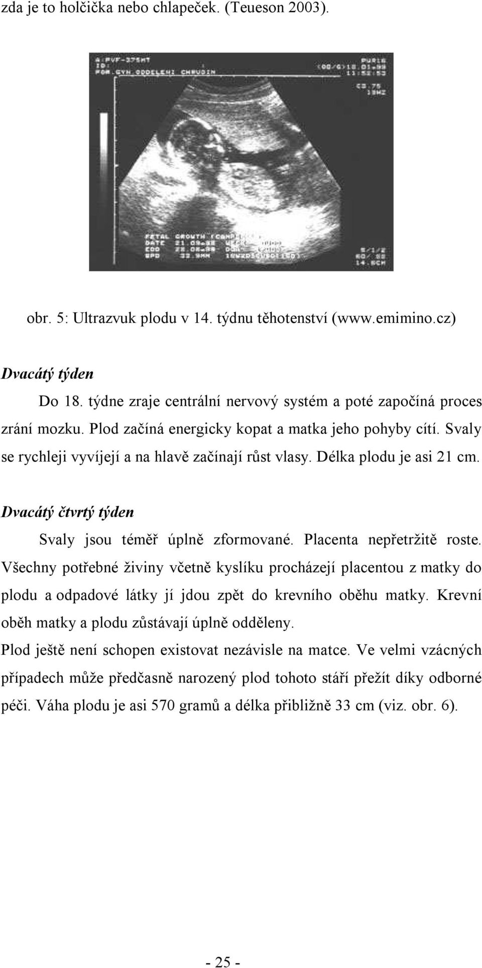 Délka plodu je asi 21 cm. Dvacátý čtvrtý týden Svaly jsou téměř úplně zformované. Placenta nepřetržitě roste.