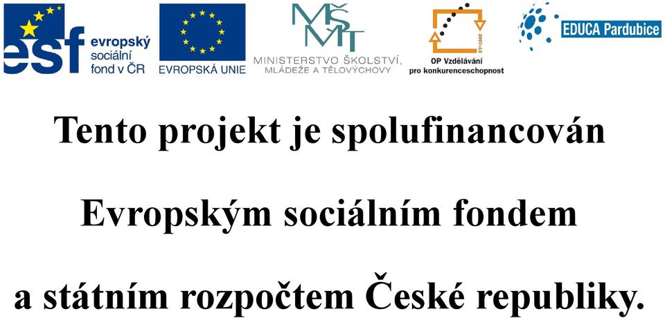 Evropským sociálním