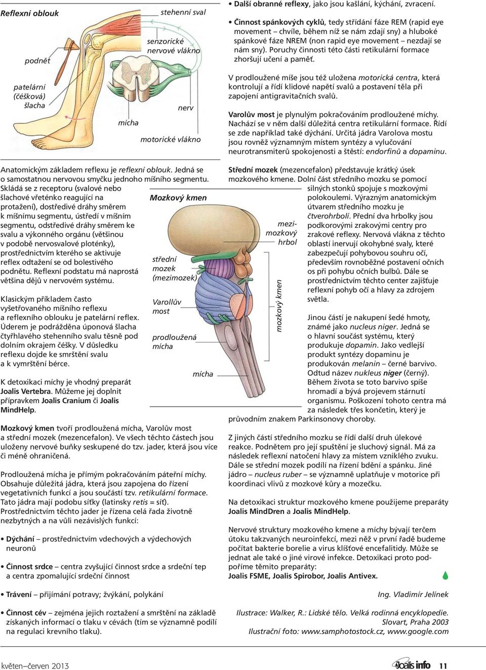 Poruchy činnosti této části retikulární formace zhoršují učení a paměť.