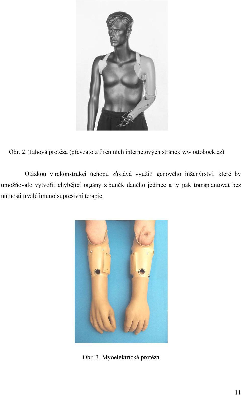 umožňovalo vytvořit chybějící orgány z buněk daného jedince a ty pak