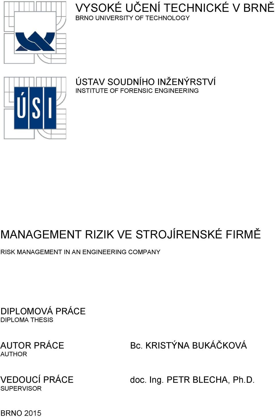 RISK MANAGEMENT IN AN ENGINEERING COMPANY DIPLOMOVÁ PRÁCE DIPLOMA THESIS AUTOR PRÁCE