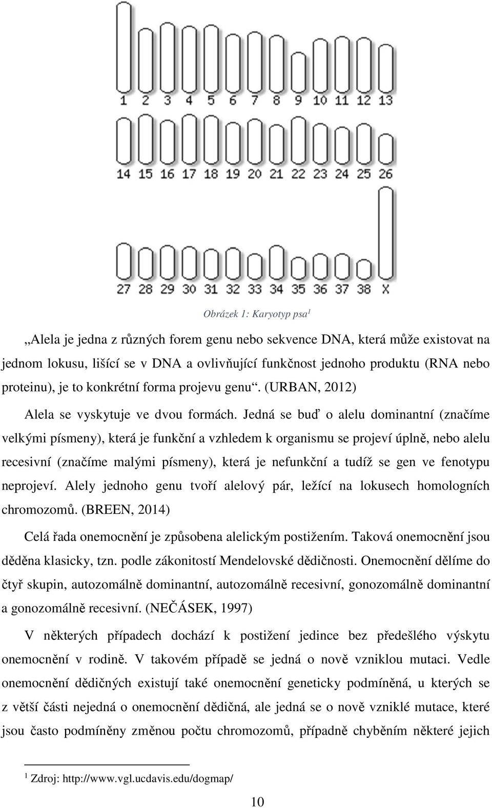 Jedná se buď o alelu dominantní (značíme velkými písmeny), která je funkční a vzhledem k organismu se projeví úplně, nebo alelu recesivní (značíme malými písmeny), která je nefunkční a tudíž se gen