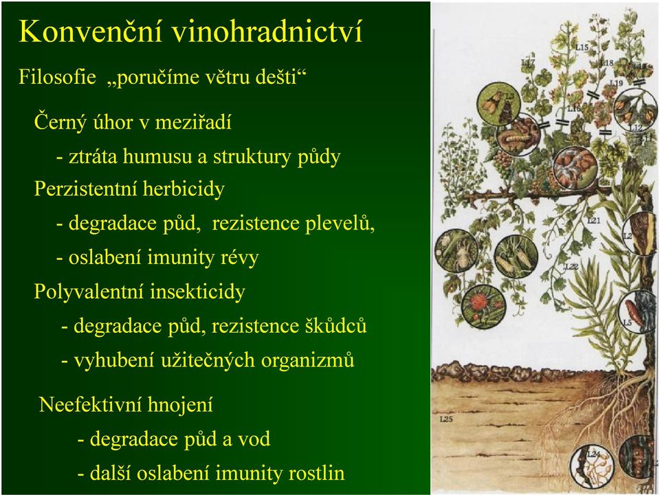 -oslabení imunity révy Polyvalentní insekticidy -degradace půd, rezistence škůdců