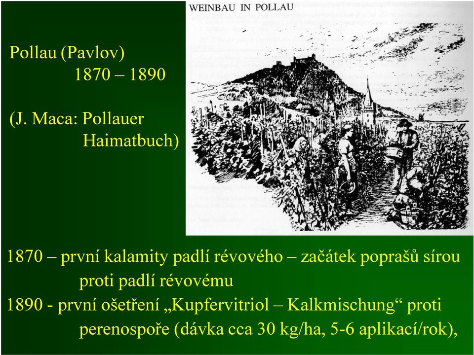 révového začátek poprašů sírou proti padlí révovému 1890