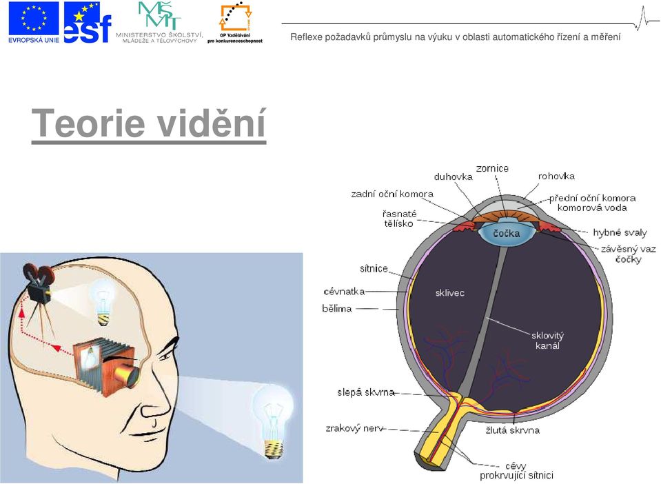 výuku v oblasti