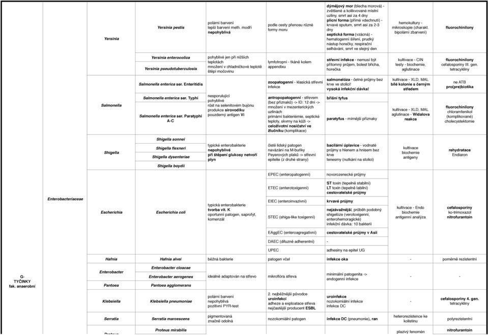 23 dny septická forma (vzácná) hematogenní šíření, prudký nástup horečky, respirační selhávání, smrt ve stejný den hemokultury (charakt.