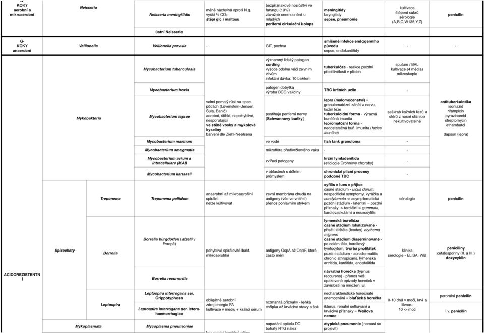 vyšší % CO2 štěpí glc i maltosu bezpříznakové nosičství ve faryngu (10%) závažné onemocnění u mladých periferní cirkulační kolaps meningitidy faryngitidy sepse, pneumonie kultivace štěpení cukrů