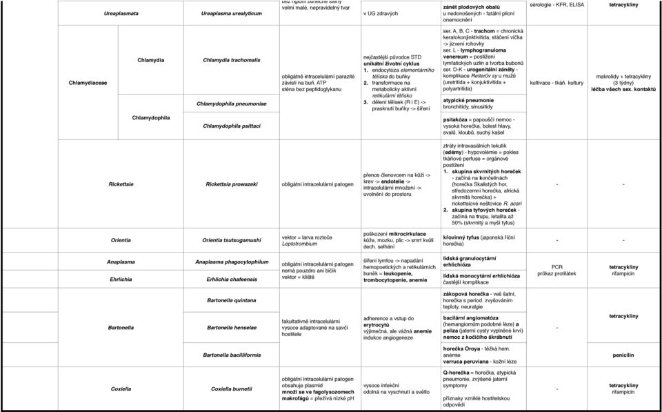 endocytóza elementárního tělíska do buňky 2. transformace na metabolicky aktivní retikulární tělísko 3. dělení tělísek (R i E) > prasknutí buňky > šíření ser.