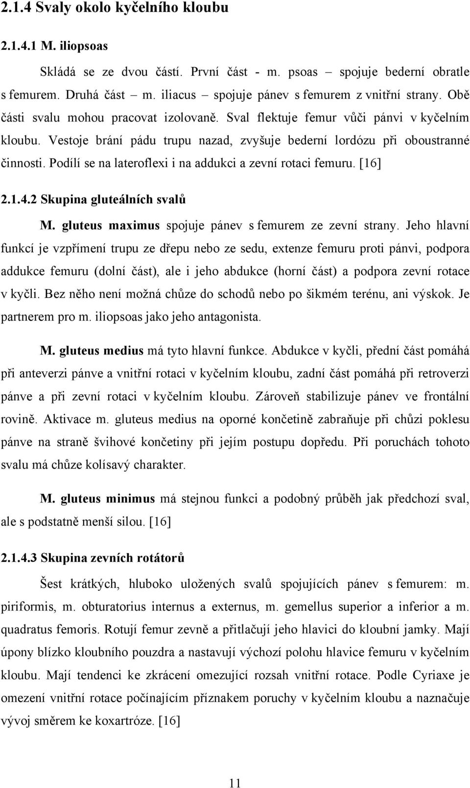 Vestoje brání pádu trupu nazad, zvyšuje bederní lordózu při oboustranné činnosti. Podílí se na lateroflexi i na addukci a zevní rotaci femuru. [16] 2.1.4.2 Skupina gluteálních svalů M.