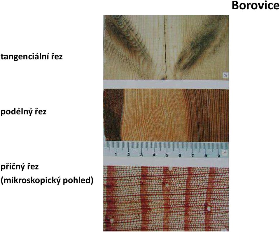 podélný řez