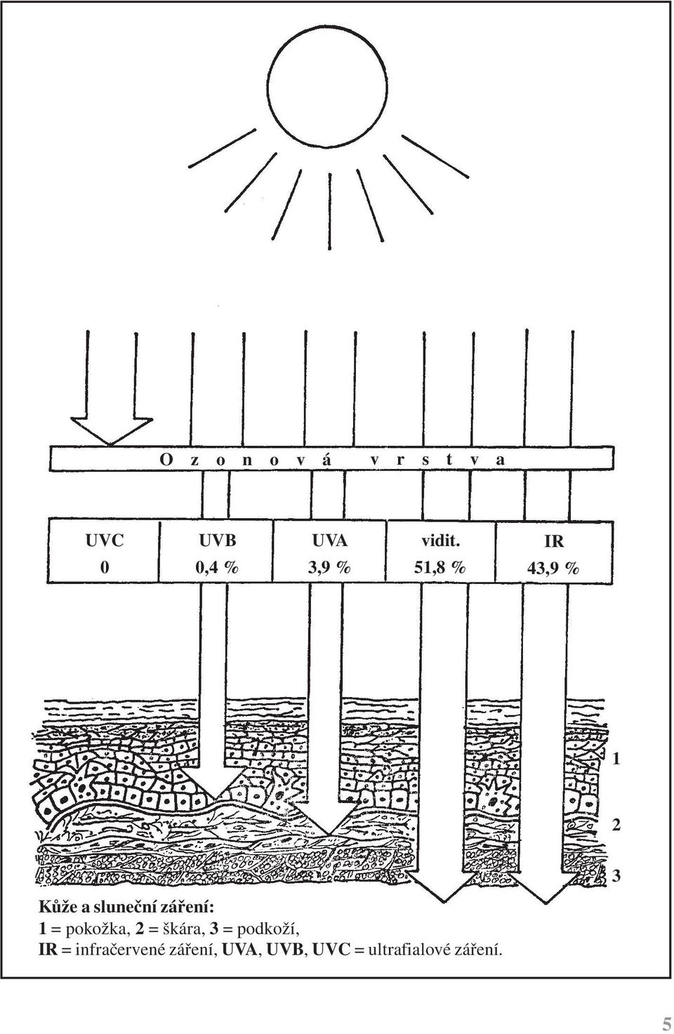 51,8 % IR 43,9 % 1 2 3 Kůže a sluneční záření: 1 =