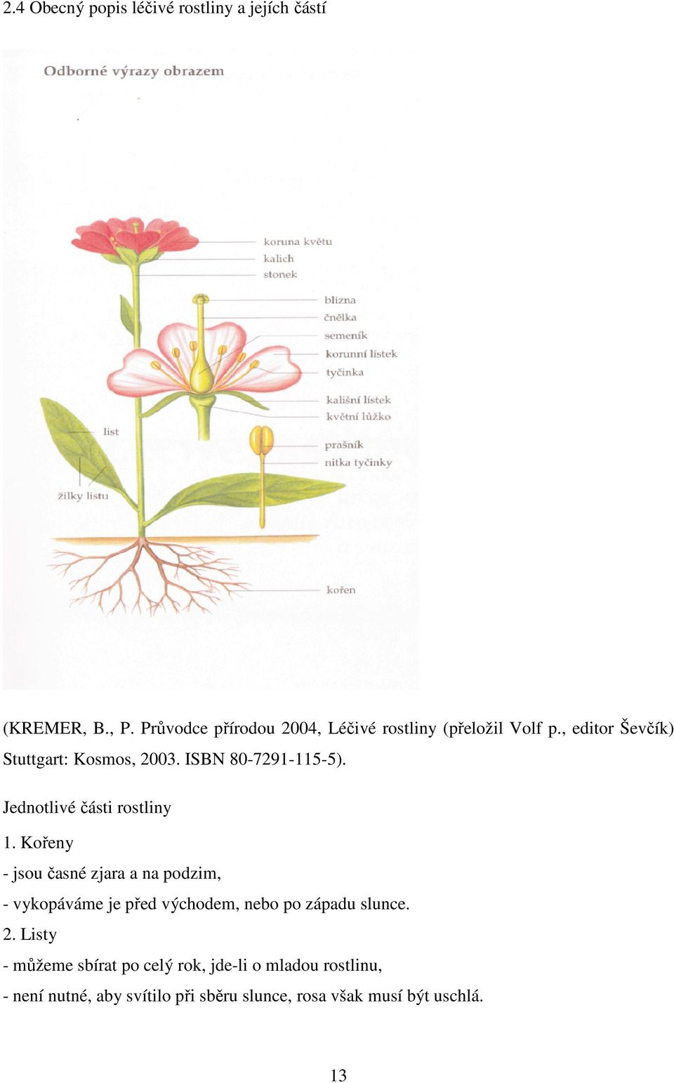 ISBN 80-7291-115-5). Jednotlivé části rostliny 1.