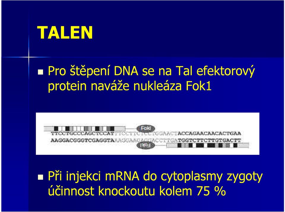 Fok1 Při injekci mrna do