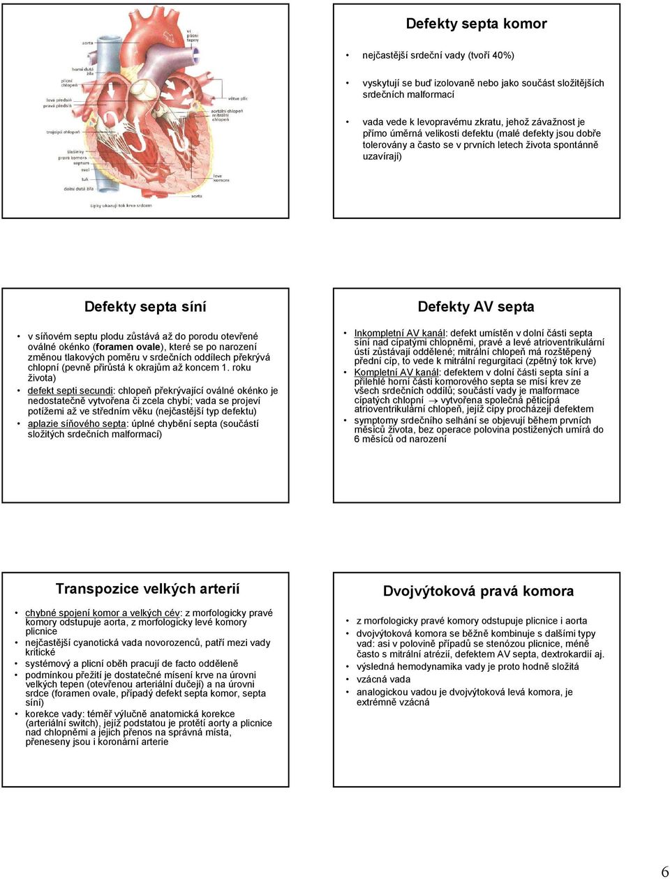 (foramen ovale), které se po narození změnou tlakových poměru v srdečních oddílech překrývá chlopní (pevně přirůstá k okrajům až koncem 1.