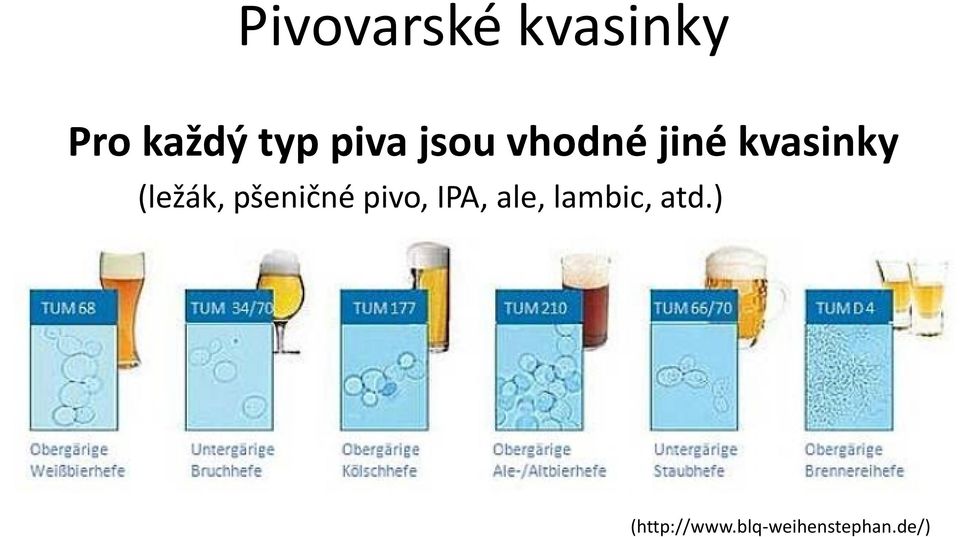 (ležák, pšeničné pivo, IPA, ale,