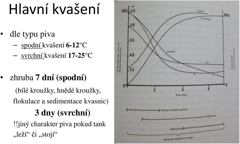 kroužky, hnědé kroužky, flokulace a sedimentace