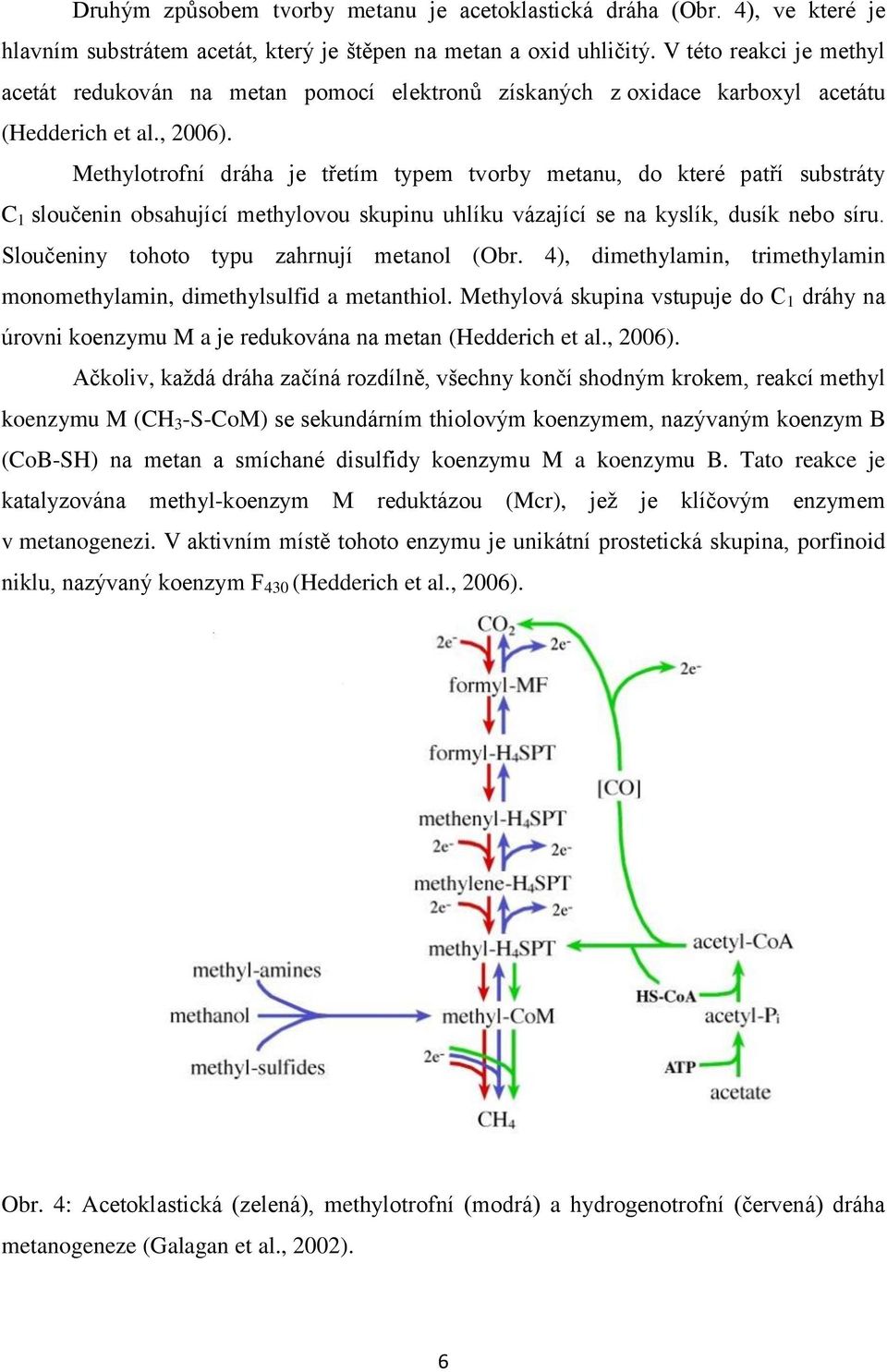 Methylotrofní dráha je třetím typem tvorby metanu, do které patří substráty C 1 sloučenin obsahující methylovou skupinu uhlíku vázající se na kyslík, dusík nebo síru.