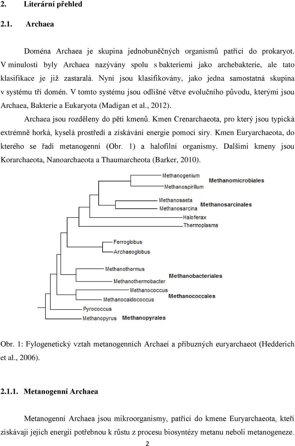 V tomto systému jsou odlišné větve evolučního původu, kterými jsou Archaea, Bakterie a Eukaryota (Madigan et al., 2012). Archaea jsou rozděleny do pěti kmenů.