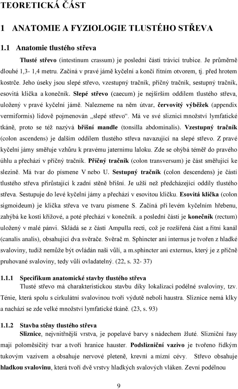 Slepé střevo (caecum) je nejširším oddílem tlustého střeva, uložený v pravé kyčelní jámě. Nalezneme na něm útvar, červovitý výběžek (appendix vermiformis) lidově pojmenován slepé střevo.