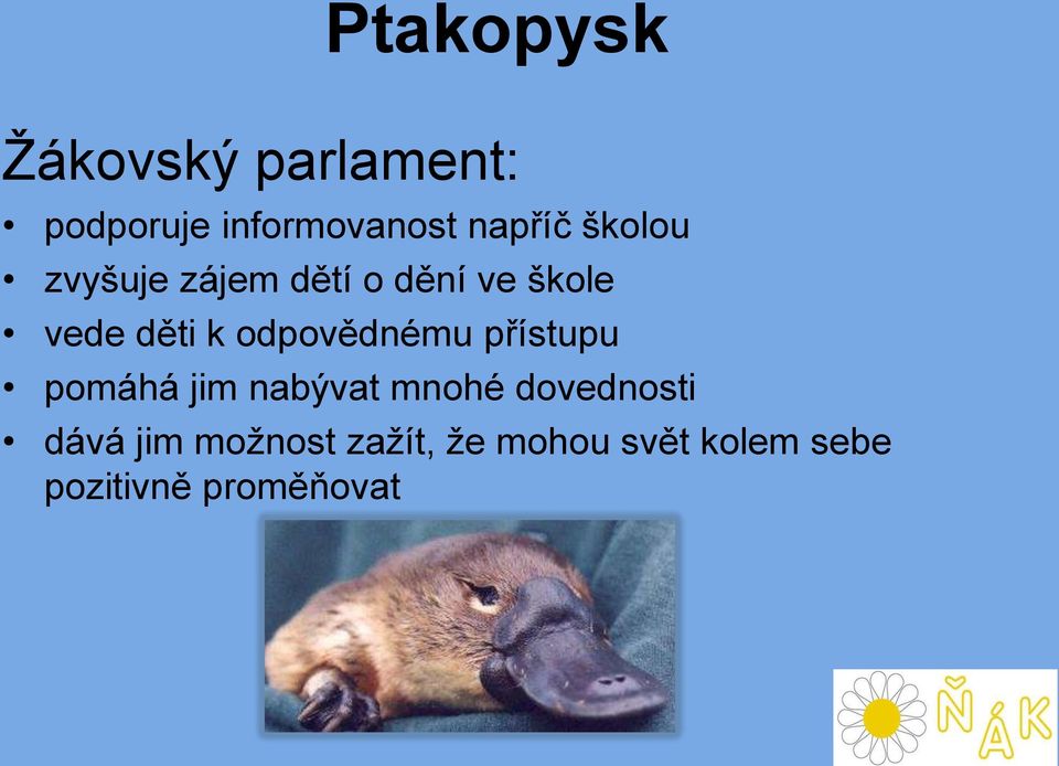 odpovědnému přístupu pomáhá jim nabývat mnohé dovednosti