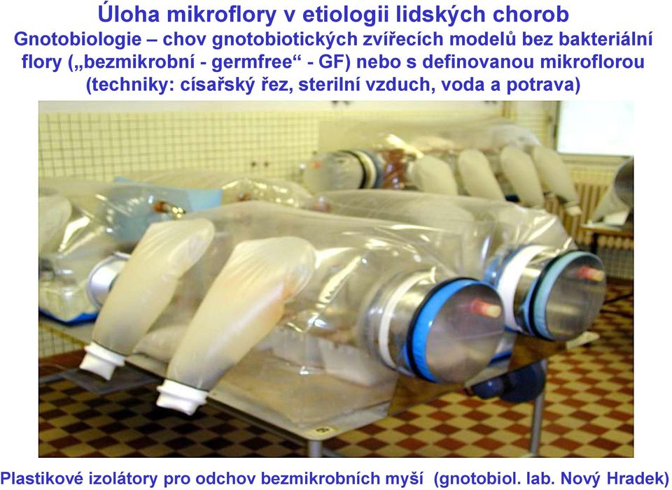 definovanou mikroflorou (techniky: císařský řez, sterilní vzduch, voda a